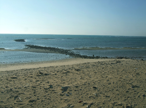 Photo of wharf at low tide, Wadi al-Jarf